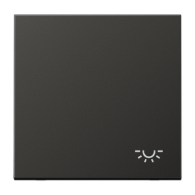 JUNG Клавиша с символом 