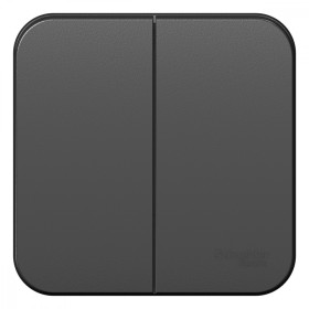 Systeme Electric Blanca наруж Антрацит Выключатель 2-клавишный, 10А, 250B