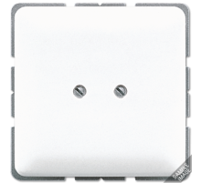 JUNG Глухая крышка с опорным кольцом, слоновая кость