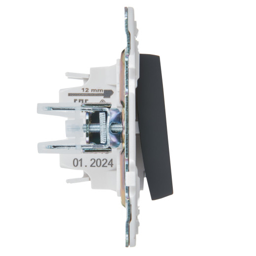 SKANDY Выключ. 1-кл. с инд. 10А SK-V07G граф. IEK