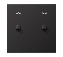 JUNG LS1912 Dark Центральная плата, 1 пост, 2 тумблера,цилиндр; метал. исполнение