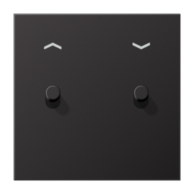 JUNG LS1912 Dark Центральная плата, 1 пост, 2 тумблера,цилиндр; метал. исполнение