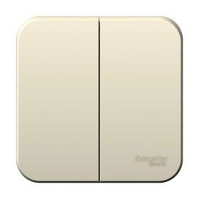 Systeme Electric Blanca наруж Молочный Выключатель 2-клавишный 6А, 250B, изолир. пластина