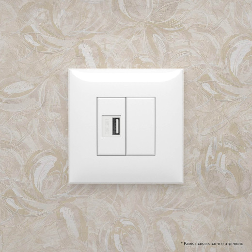 USB зарядное устройство в стену, Avanti, белое облако, 2.1А