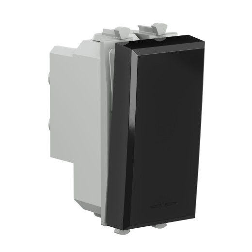 Выключатель двухполюсный одноклавишный модульный, Avanti, черный квадрат, 1 модуль