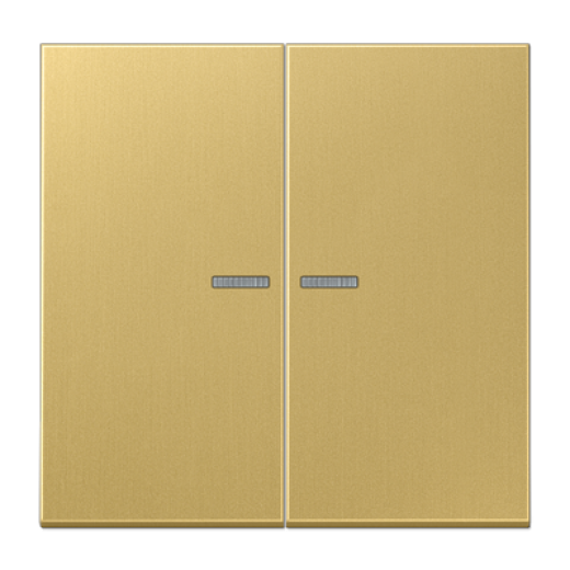 клавиши для 2х-клавишного выключателя, в сборе