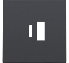 Niko Накладка USB Type-A-C, антрацит