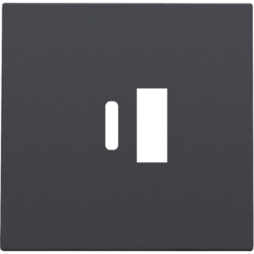 Niko Накладка USB Type-A-C, антрацит
