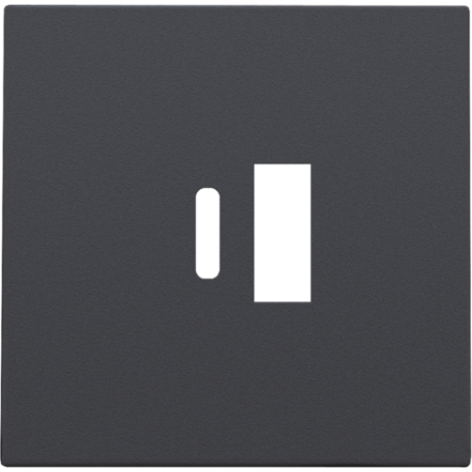 Накладка USB Type-A-C, антрацит