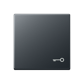 JUNG Клавиша с символом двери, матовый антрацит