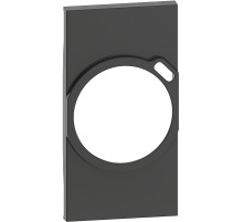 BT Living now Черный Лицевая панель для комбинированных розеток 2К+З/USB 2 мод.