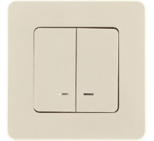 Legrand/Daccord INSPIRIA Слоновая кость Выключатель двухклавишный с подсветкой/индикацией 10 AX - 250 В.