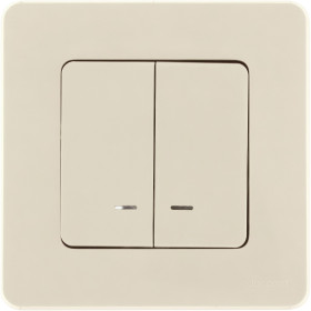 Legrand/Daccord INSPIRIA Слоновая кость Выключатель двухклавишный с подсветкой/индикацией 10 AX - 250 В.
