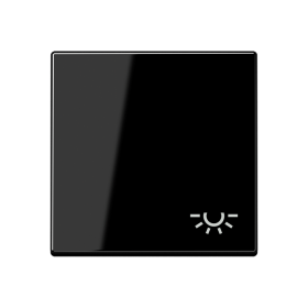 JUNG Клавиша с символом освещения, чёрный