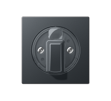 JUNG Матовый Антрацит накладка поворотного механизма (лакированный дюропласт)