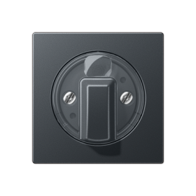 JUNG Матовый Антрацит накладка поворотного механизма (лакированный дюропласт)