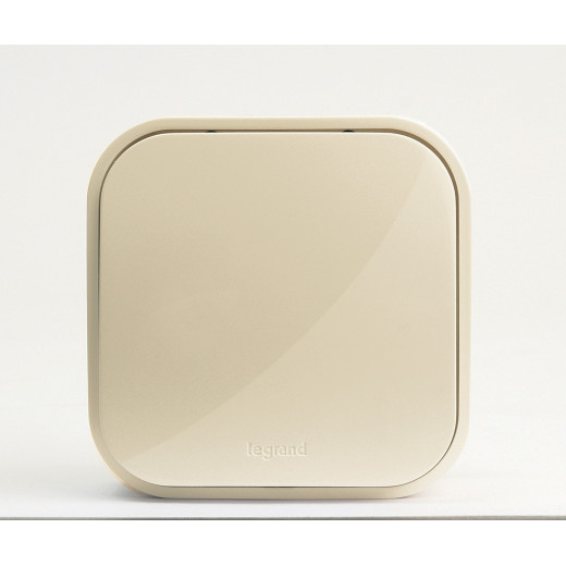 Переключатель одноклавишный - Legrand Quteo - IP20 10А 250В винтовые зажимы накладной монтаж - слоновая кость