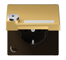 JUNG SCHUKO розетка с крышкой и замком,  латунь Classic