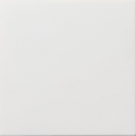 Gira F100 Бел глянц Заглушка с опорной пластиной