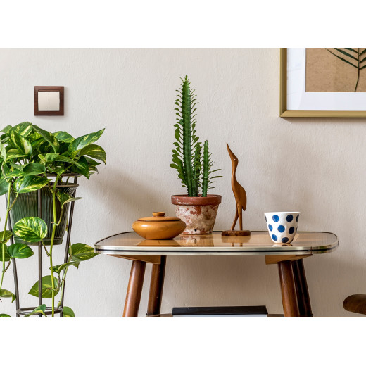 Выключатель двухклавишный - Legrand Valena - 10А 250В схема 5 безвинтовые зажимы - слоновая кость