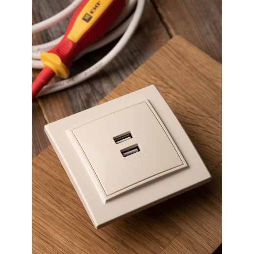 Минск Розетка USB 2-местная СП 2,1А бежевая EKF