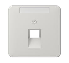 JUNG CD 500/CD plus Светло-серая Накладка 1-ой наклонной ТЛФ/комп розетки с полем для надписи