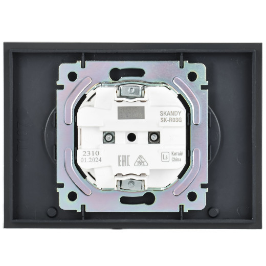 SKANDY Роз. 2-я без з/к/ш стекло 10А SK-R03G граф. IEK