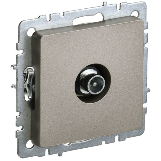 BRITE Роз. TV проходная РТВ10-0-БрШ шамп. IEK