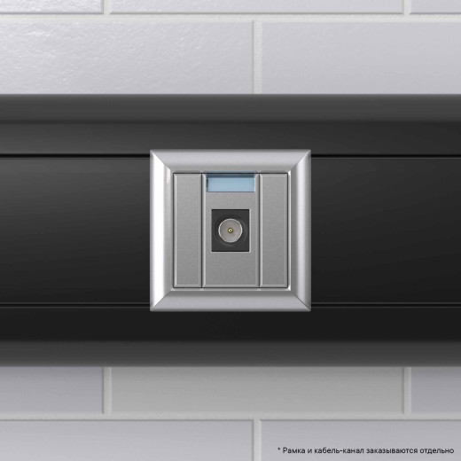 Розетка TV одиночная модульная, Avanti, закаленная сталь, 1 модуль