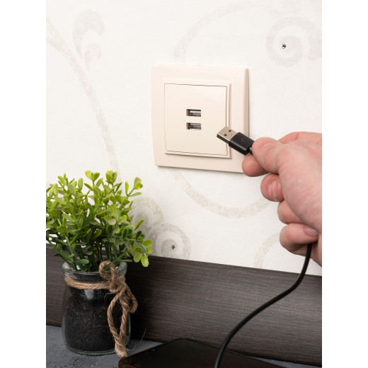 Минск Розетка USB 2-местная СП 2,1А бежевая EKF