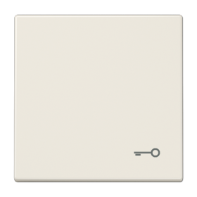 JUNG LS 990 Бежевая Клавиша 1-ая с символом КЛЮЧ