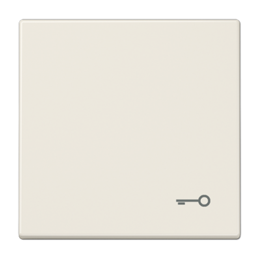 Клавиша для  выключателя с символом 