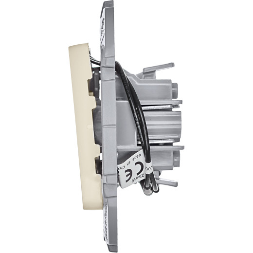 Выключатель двухклавишный с подсветкой/индикацией - Legrand/Daccord Inspiria - 10АХ 250В безвинтовые зажимы - слоновая кость