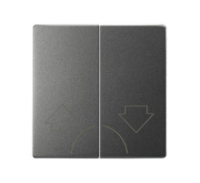 Simon S82 Concept Матовый титан, Клавиша 2-я для жалюзи без блокировки и пиктограммой 