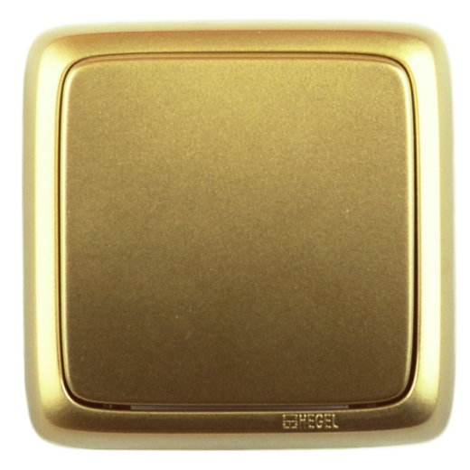 ВА10-113-07 Выключатель открытой установки, одноклавишный, с изолирующей пластиной, цвет золото