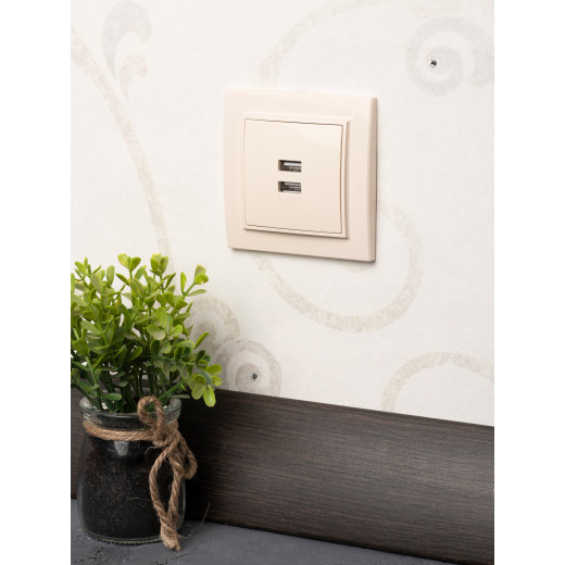 Минск Розетка USB 2-местная СП 2,1А бежевая EKF