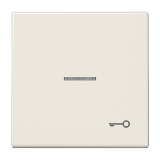 Клавиша для выключателя с символом «Ключ»