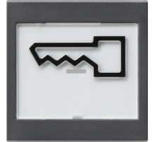 Gira S-55 Антрацит Клавиша с полем для надписи и символом дверь