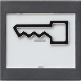 Gira S-55 Антрацит Клавиша с полем для надписи и символом дверь