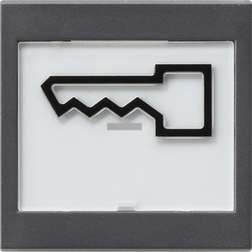 Клавиша с полем для надписи 37*47 мм  и символом 