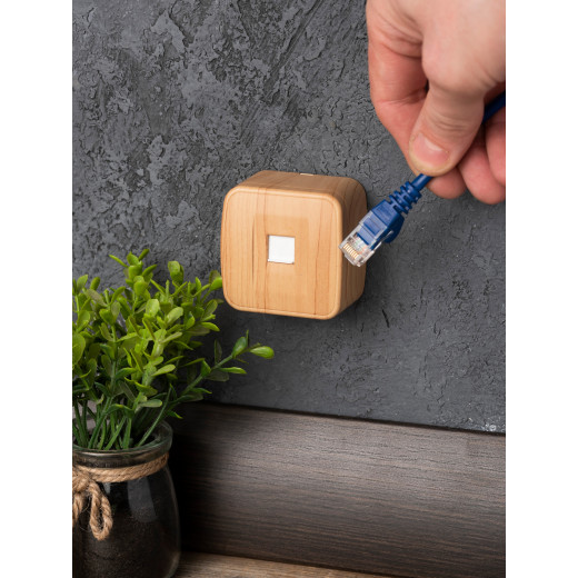 Розетка RJ-45 1-местная ОП Минск, 1А, 120В, светлое дерево EKF