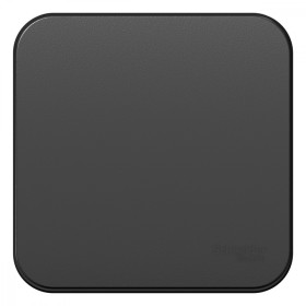 Systeme Electric Blanca наруж Антрацит Выключатель 1-клавишный с самовозвратом, 10А, 250В, изолир. пластина