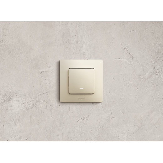 Выключатель одноклавишный с подсветкой/индикацией - Legrand Etika - 10А 250В безвинтовые зажимы - слоновая кость