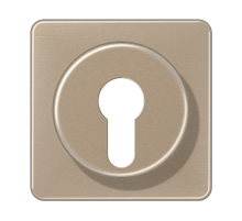 JUNG Крышка для выключателя с замком золотая бронза