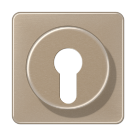 JUNG Крышка для выключателя с замком золотая бронза