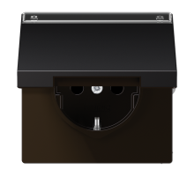 JUNG SCHUKO розетка с крышкой и полем для надписи, Dark