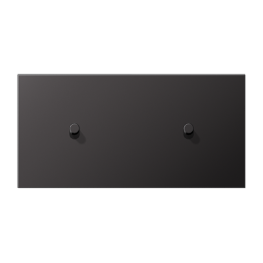 Центральная плата, 2 поста, для горизонтальной установки, тумблеры 1+1,цилиндр, металлическое исполнение, Dark, серия LS