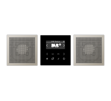 JUNG Смарт радио DAB+, стерео черный/нержавеющая сталь