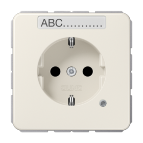 JUNG SCHUKO-розетка с полем для надписи и индикатором, слоновая кость