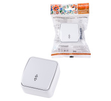 TDM Переключатель на 2 направления 1-кл. открытой установки IP20 10А, белый 